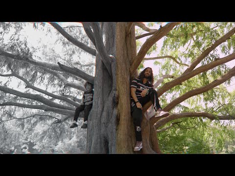 Haf n' haf x JLenga - Back in the Play (Official Music Video) ft. Forest 