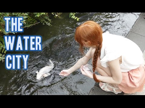 水之城｜九條八幡 ． (The Water City | Gujo Hachiman　)