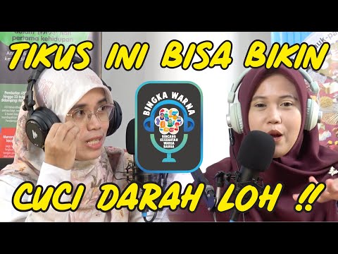 Cuman gara - gara TIKUS bisa sampai CUCI DARAH!!! | Leptospirosis