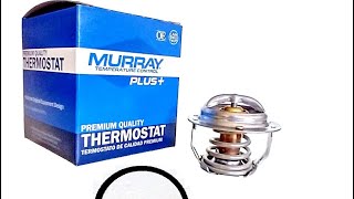 2003 Subaru Impreza WRX | Thermostat Replacement