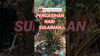 Download lagu Pengasihan Nabi Sulaiman mp3 Download lagu Pengasihan Nabi Sulaiman mp3