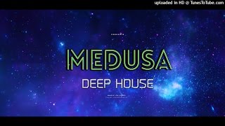 Schiller - Dream Of You (Ellin Spring Remix) | MEDUSA | Deep House Music 2016 Deep House Mix