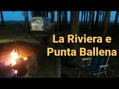 14-Laguna de Rocha e Punta Ballena com a kombi