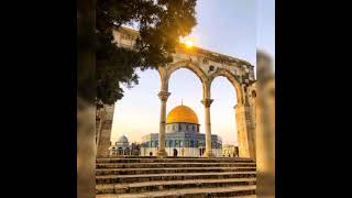 Download lagu Muhammad Qosim sura mutafifin mp3