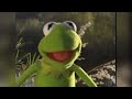 Kermit S Swamp Years 2002 Home Video Trailer