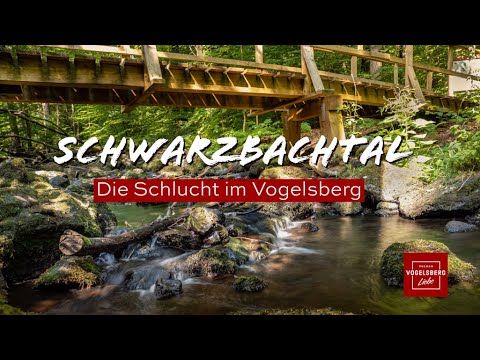 Unser Schwarzbachtal - Die Schlucht im Vogelsberg