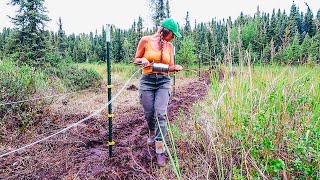 Expansion of our Alaskan Homestead! Self Sufficiency in the Last Frontier...