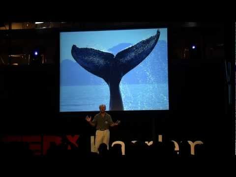Che esso è possibile togliere posti di pigmentary dal sole Lolio di rosmarino da pigmentary nota risposte