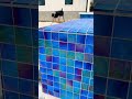 Iridescent Mosaic Tile on my Latest Pool Overlooking the Hill Country