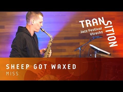 Sheep Got Waxed - Miss | #TransitionJazzFestival | TivoliVredenburg (2018)