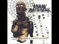 Anaal Nathrakh - Never Fucking Again