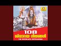 Om Namah Shivaya