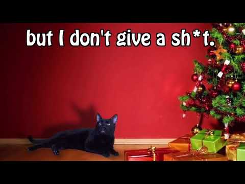 Why my kitty cat hates Christmas ( Song only - No interruptions )