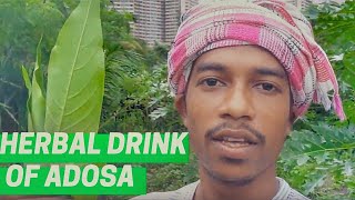 Kadha for cold and cough relief | Adivasi herbal drink made of Adosa leaves