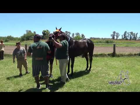 TODAS LAS CARRERAS DE VICTORIA