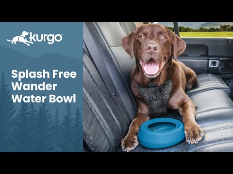 Kurgo Splash Free dubenėlis šunims, 710ml, Mėlynas video