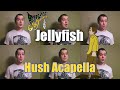 Jellyfish Hush Acapella Cover - Jaron Davis