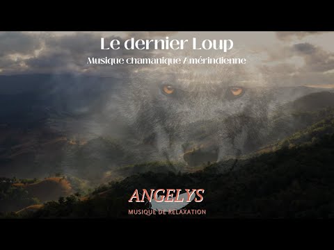 Le dernier Loup  🐺 Musique chamanique Amérindienne 🐺