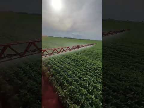 30 de janeiro de 2026