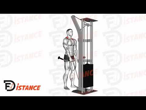 Exercice Shrugs à la poulie basse