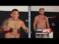 UFC Fight Island 3: Fabricio Werdum, Alexander Gustafsson Make Weight - MMA Fighting