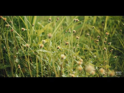 My new travel camera setup | Sony zv-e10 + Sigma 18-50mm f2.8