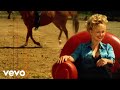 Johnny Hallyday - L'Instinct