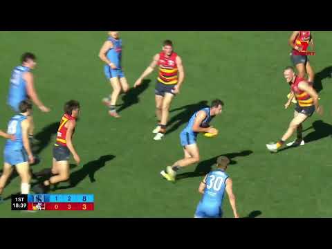 Qualifying Final Hostplus SANFL Snapshot - Sturt's Connor McFadyen snaps along the ground