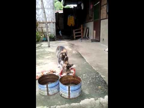 Mawalan ng timbang sa pamamagitan ng pagkuha ng soda Pagbaba ng timbang klinika sa Togliatti