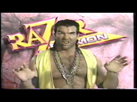 Razor Ramon: Hitman, are you estupido?.
