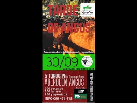 30/9/2025 Mauro Feo negocios rurales, La Higuera Vichadero Rivera