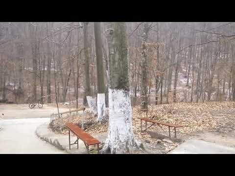 Biserica Izvoarelor de Leac