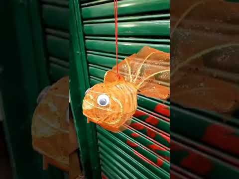 金魚燈籠🏮🐟@元朗大橋街市