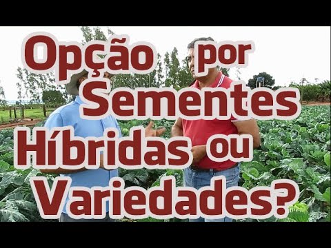 , title : 'Opção por Sementes Híbridas ou Variedades | Agroecologia'