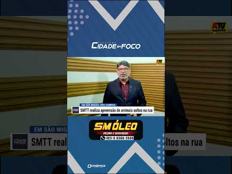 SMTT realiza apreensão de animais soltos em diferentes pontos de São Miguel dos Campos