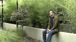 Bamboo Plants for Privacy Screening