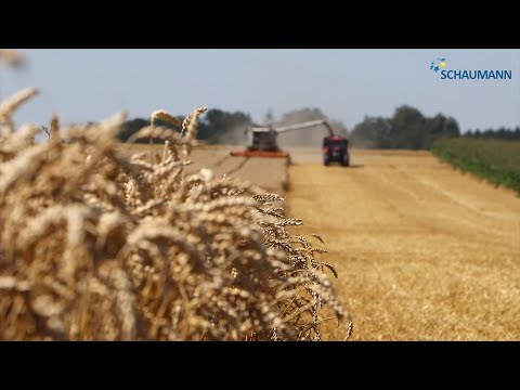 Getreidekonservierung mit SCHAUMASIL
