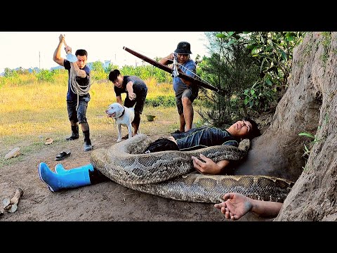 Brave Hunters With Pitbull Dog Entered The Cave Rescue The Girl From Violent Giant Python