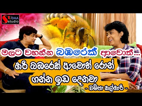 මලට වහන්න බඹරෙක් ආවොත්..... හරි බඹරෙක් ආවොත් රොන්ගන්න ඉඩ දෙනවා - - චම්පා කල්හාරි - Sudaa Creation