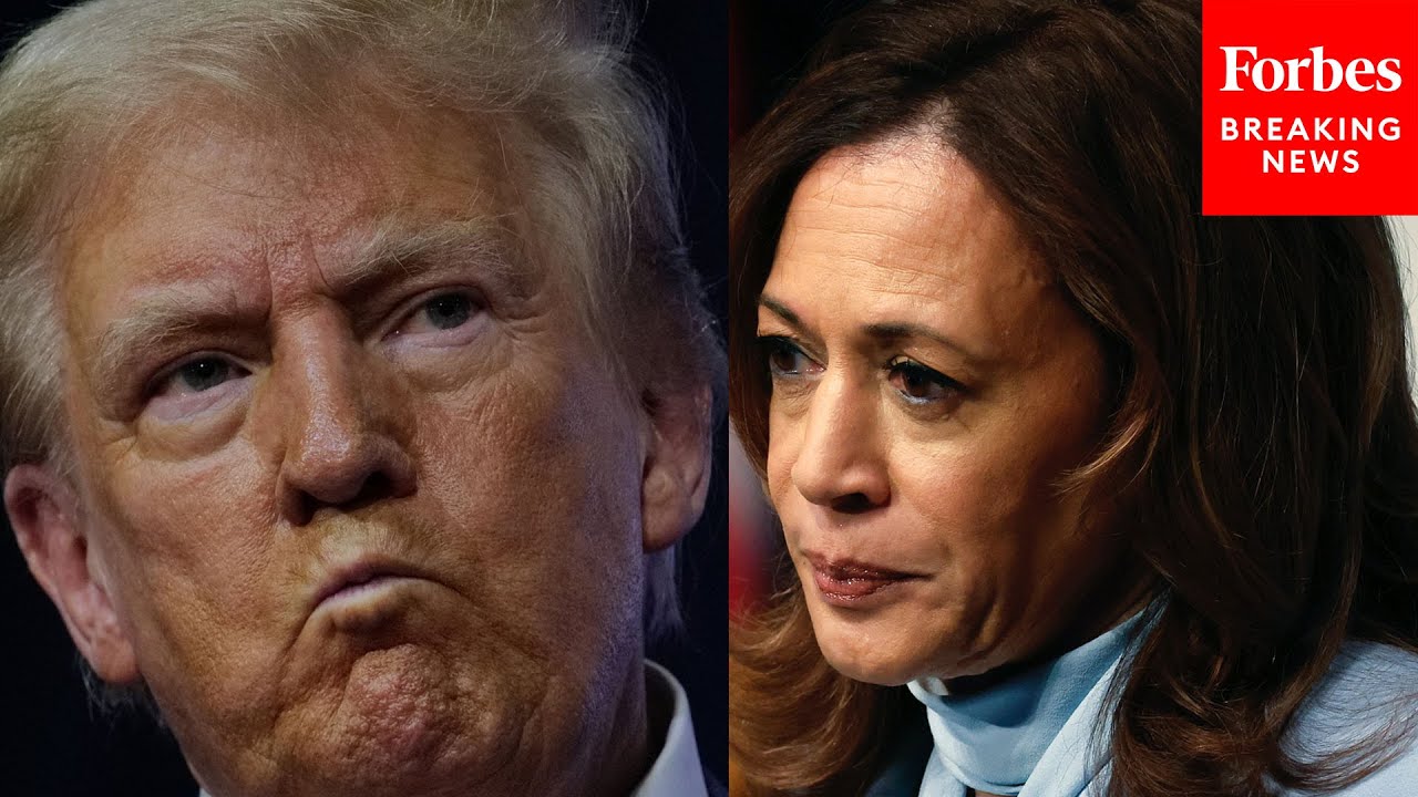 Mark Penn Breaks Down Harvard CAPS/Harris Poll Showing Trump Edging Kamala Harris In Swing States