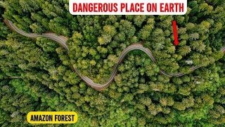 Amazon Forest Mind Blowing Facts Extremely Dangerous !