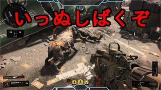 【CoD:BO4】いいかセラフは初心者持ったらあかんで