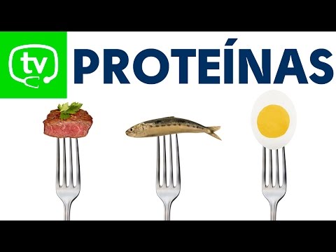 Las proteínas