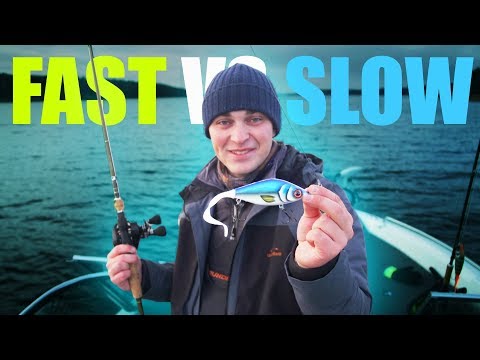 PIKE FISHING: Slow vs Fast Retrieve CHALLENGE (What will catch more/bigger fish?!)