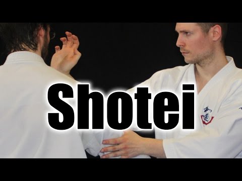 Ways to use Shotei, the palmheel strike