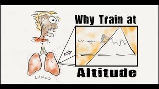 Why Do Athletes Train at Altitude?