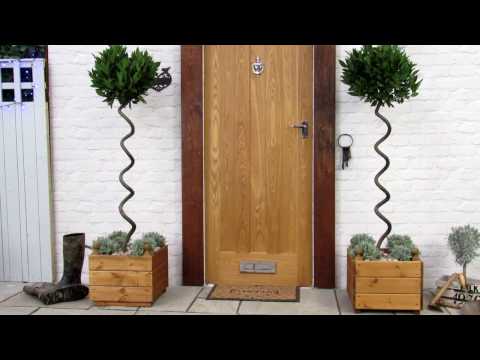 Bay Tree Spiral 1.5-1.6m Laurus Nobilis