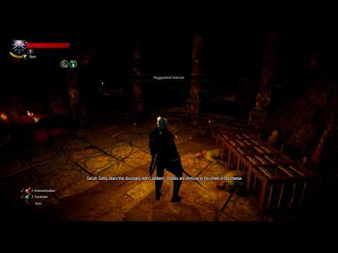 Let's Play Witcher 3 The Wild Hunt Pt. 119