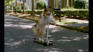 Five Date Rule - Trailer