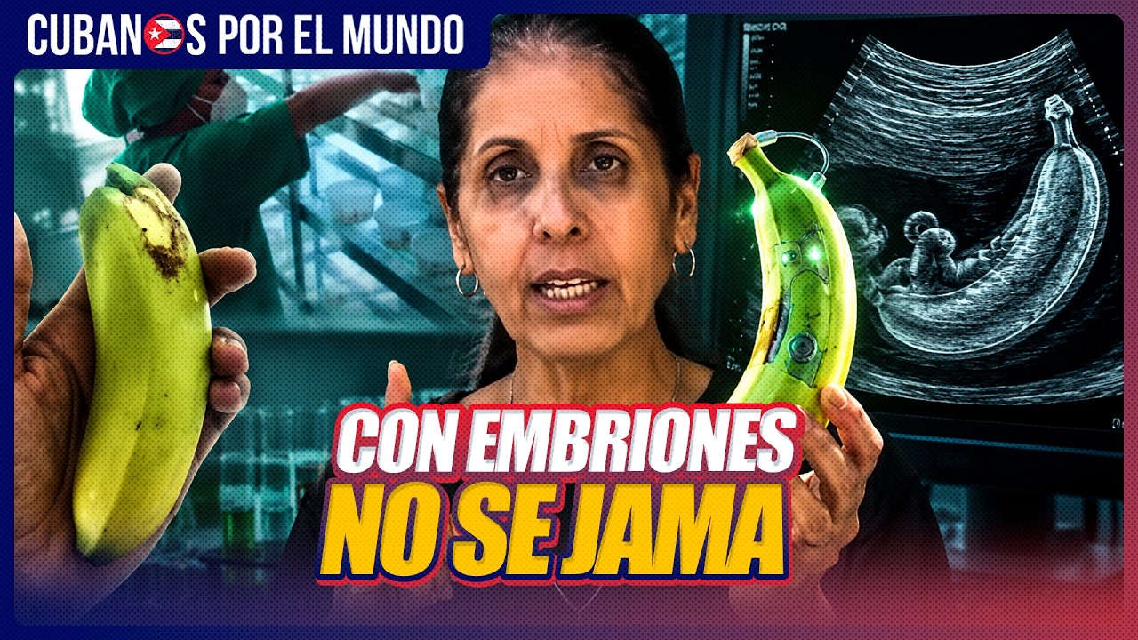 Cuba impulsa plátanos biotecnológicos ante crisis agrícola